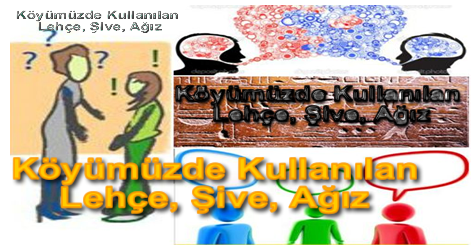 Köyümüzde Kullanılan Lehçe, Şive, Ağız