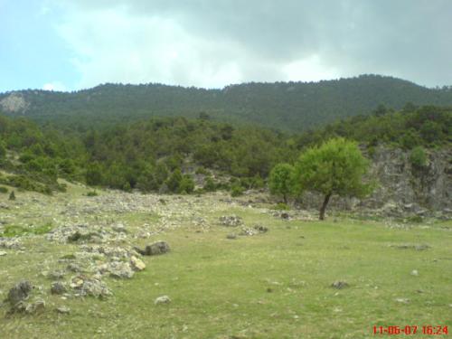 DSC04556