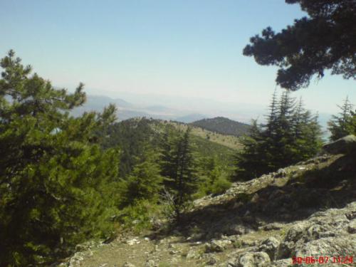 DSC05002
