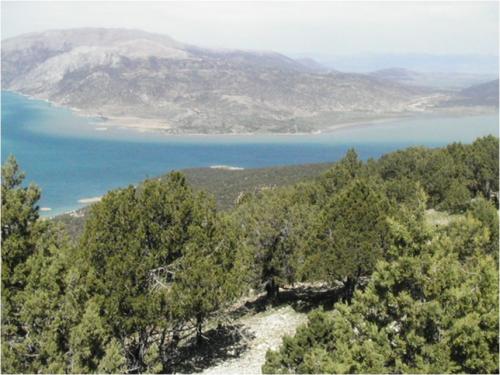 boğoz