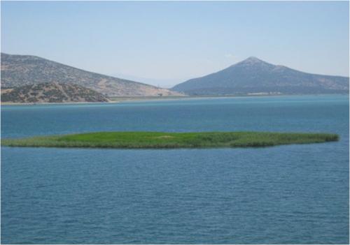 bülbül boğ